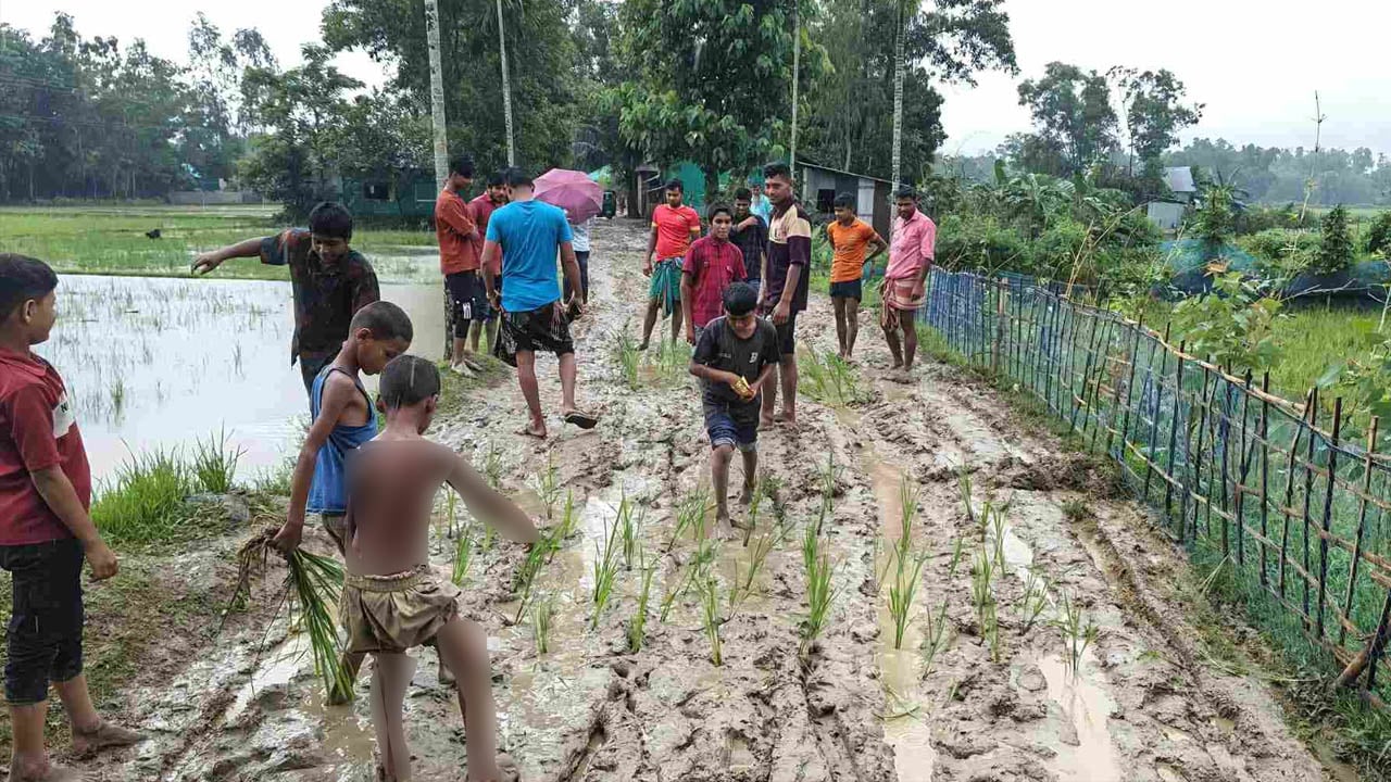 সড়কে কাদা, সংস্কারের দাবিতে স্থানীয়দের অভিনব প্রতিবাদ
