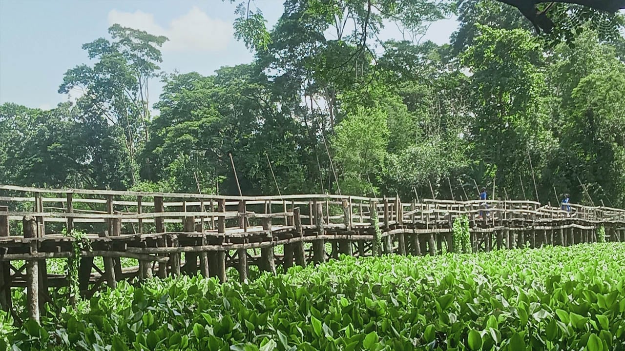 এলাকাবাসীর উদ্যোগে নির্মিত সাঁকোই ভরসা