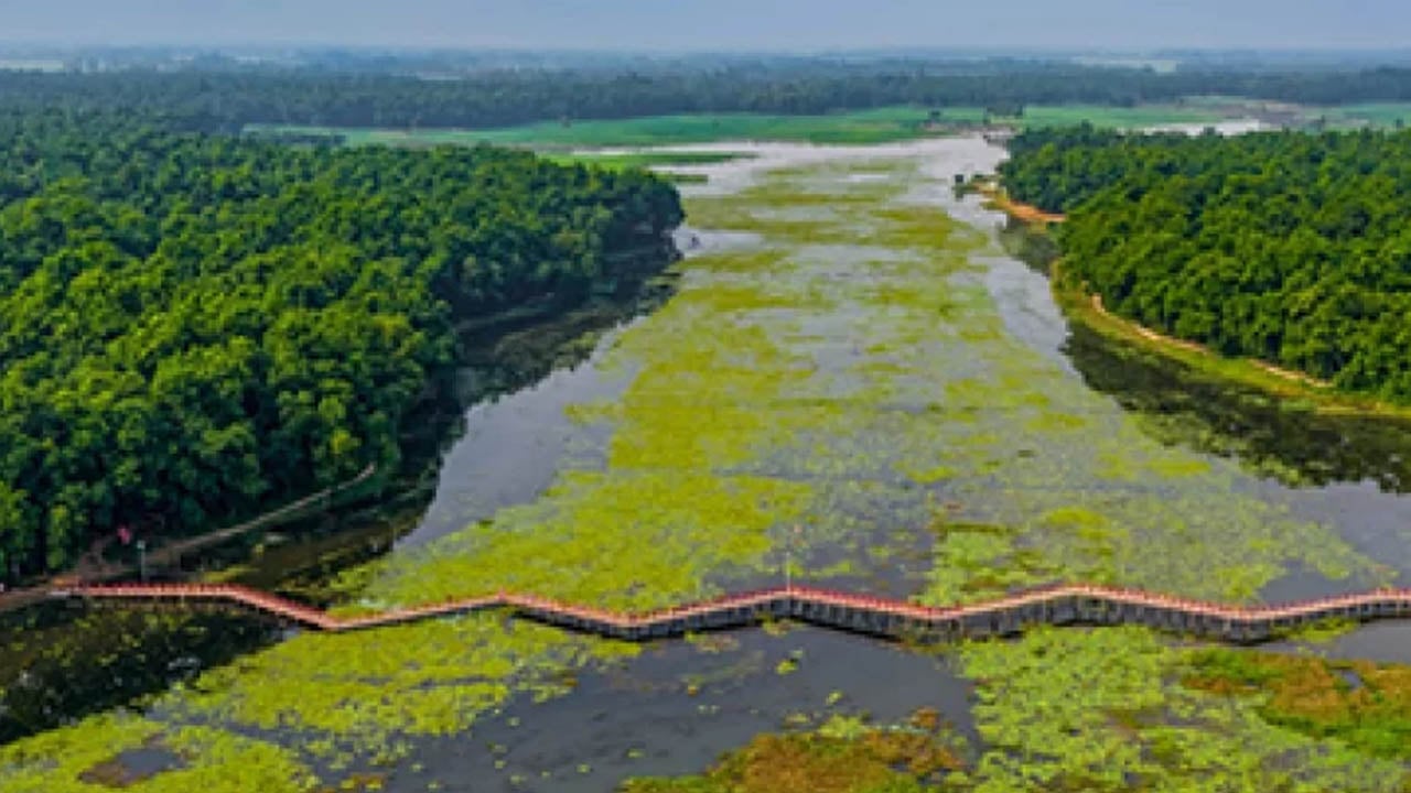 আশুরার বিলে দেশীয় প্রজাতির মাছ উৎপাদনের সম্ভাবনা
