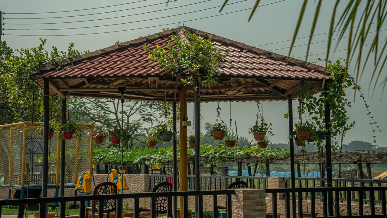 শহরের ব্যস্ততার মাঝে এক টুকরো স্বস্তি আমিন মোহাম্মদ এগ্রোতে