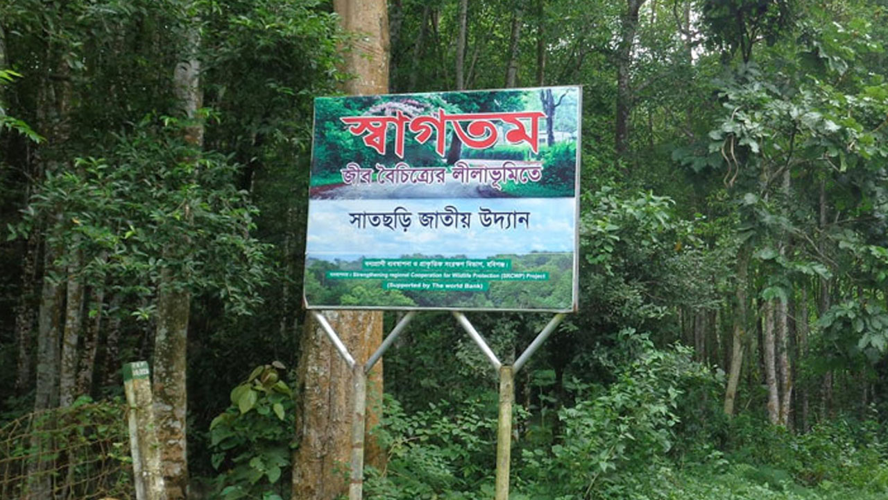 মহাসড়কে গাছ ফেলে ডাকাতি