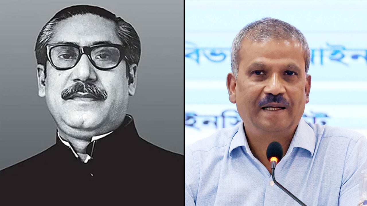 বঙ্গবন্ধুর জন্ম না হলে অন্তত ১৯৭১ সালে দেশ স্বাধীন হতো না: আসিফ নজরুল