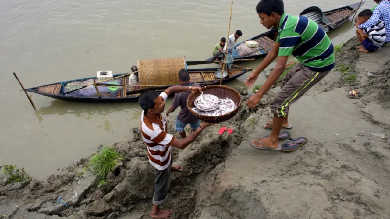 Assam