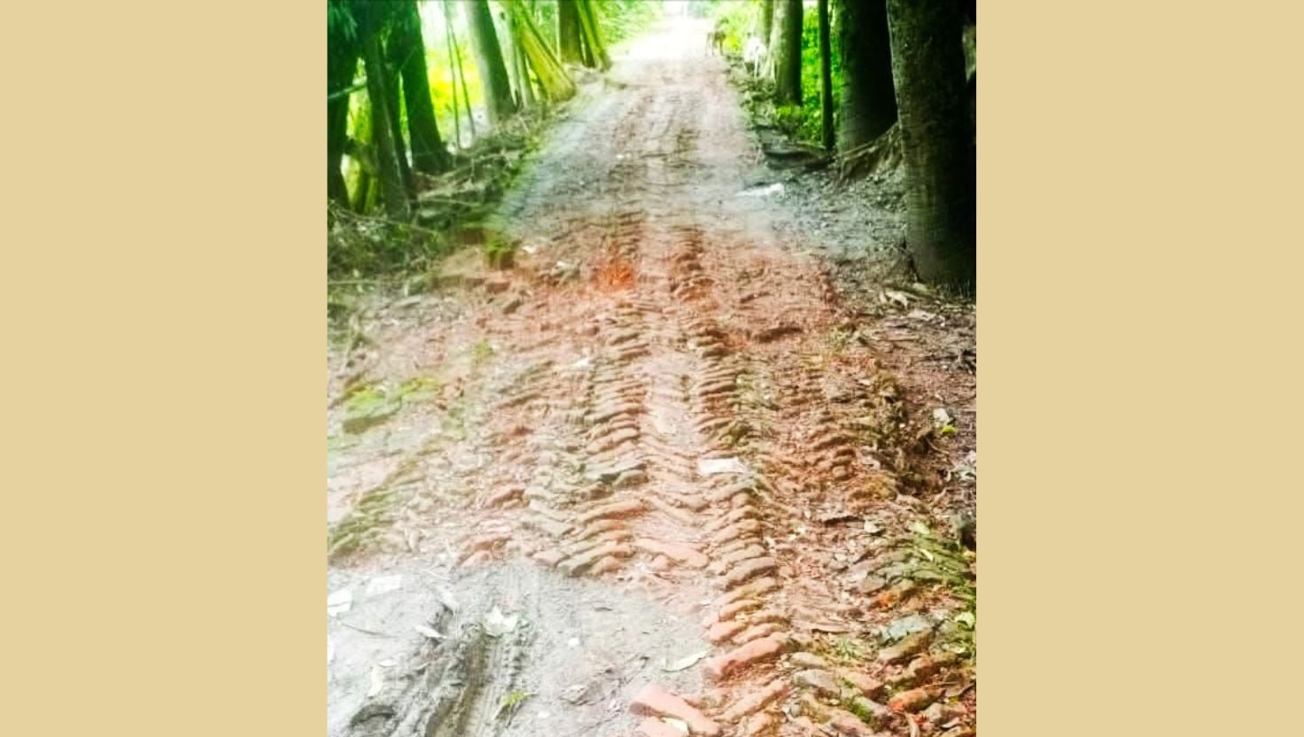 
২১ বছরেও পাকা হয়নি বাবুগঞ্জের ইসলামপুর সড়ক, দুর্ভোগে হাজারো মানুষ