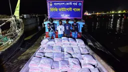 মিয়ানমারে পাচারের সময় সাড়ে ৩ লাখ টাকার সিমেন্ট জব্দ