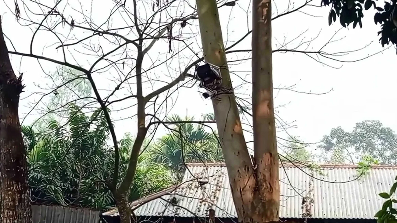 সীমান্তে লাগানো সেই সিসি ক্যামেরা সরাবে বিএসএফ