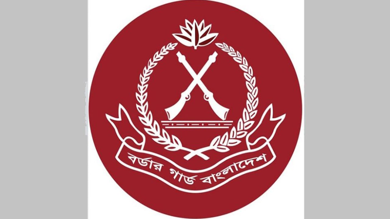 সেপ্টেম্বরে বিজিবির অভিযানে ১৭১ কোটি ৬০ লাখ টাকার চোরাই পণ্য জব্দ