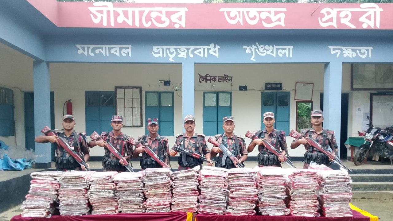 বিজিবির অভিযানে ১৭ লাখ টাকার ভারতীয় শাড়ি উদ্ধার