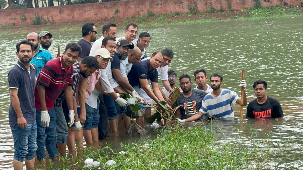 জিয়া উদ্যানের লেকে ‘শাপলা ফুল’ লাগাল ‘আমরা বিএনপি পরিবার’