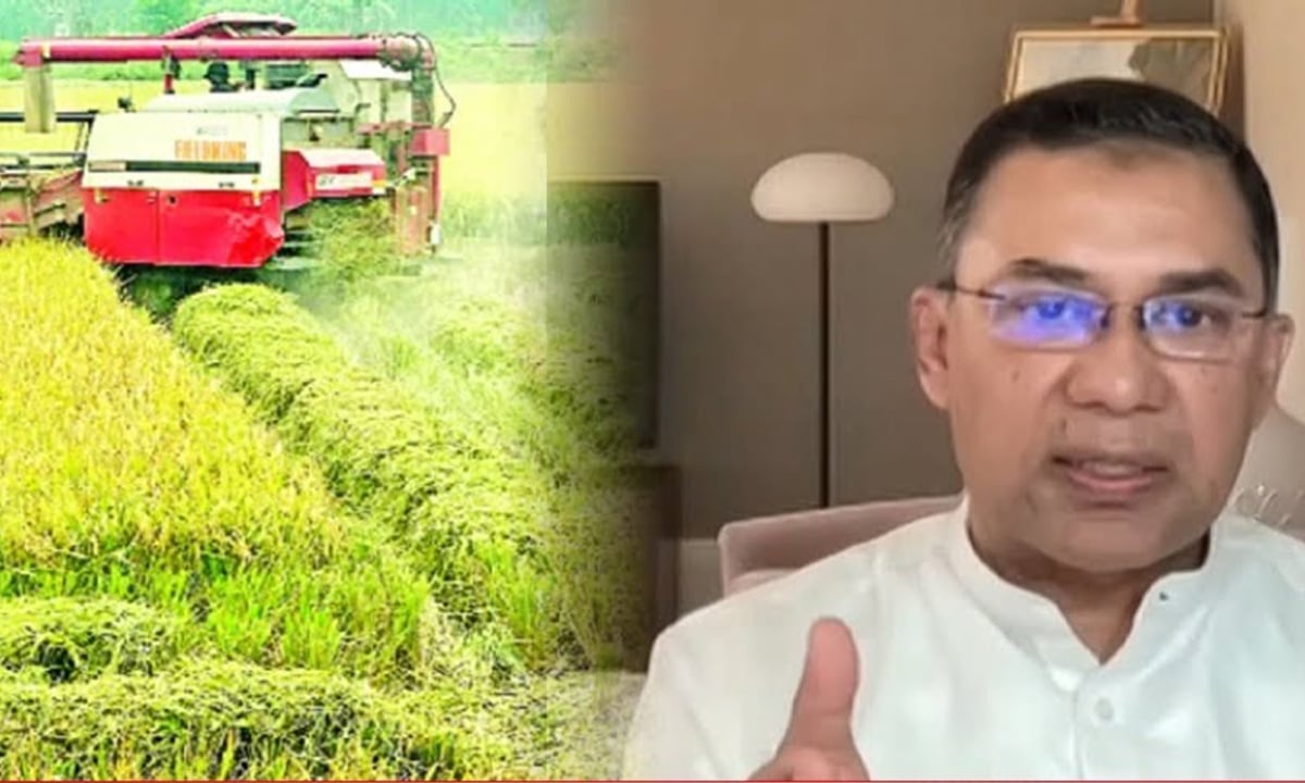 কৃষি অর্থনীতিতে ১৩ লাখ কর্মসংস্থান সৃষ্টিতে বিএনপির রূপরেখা