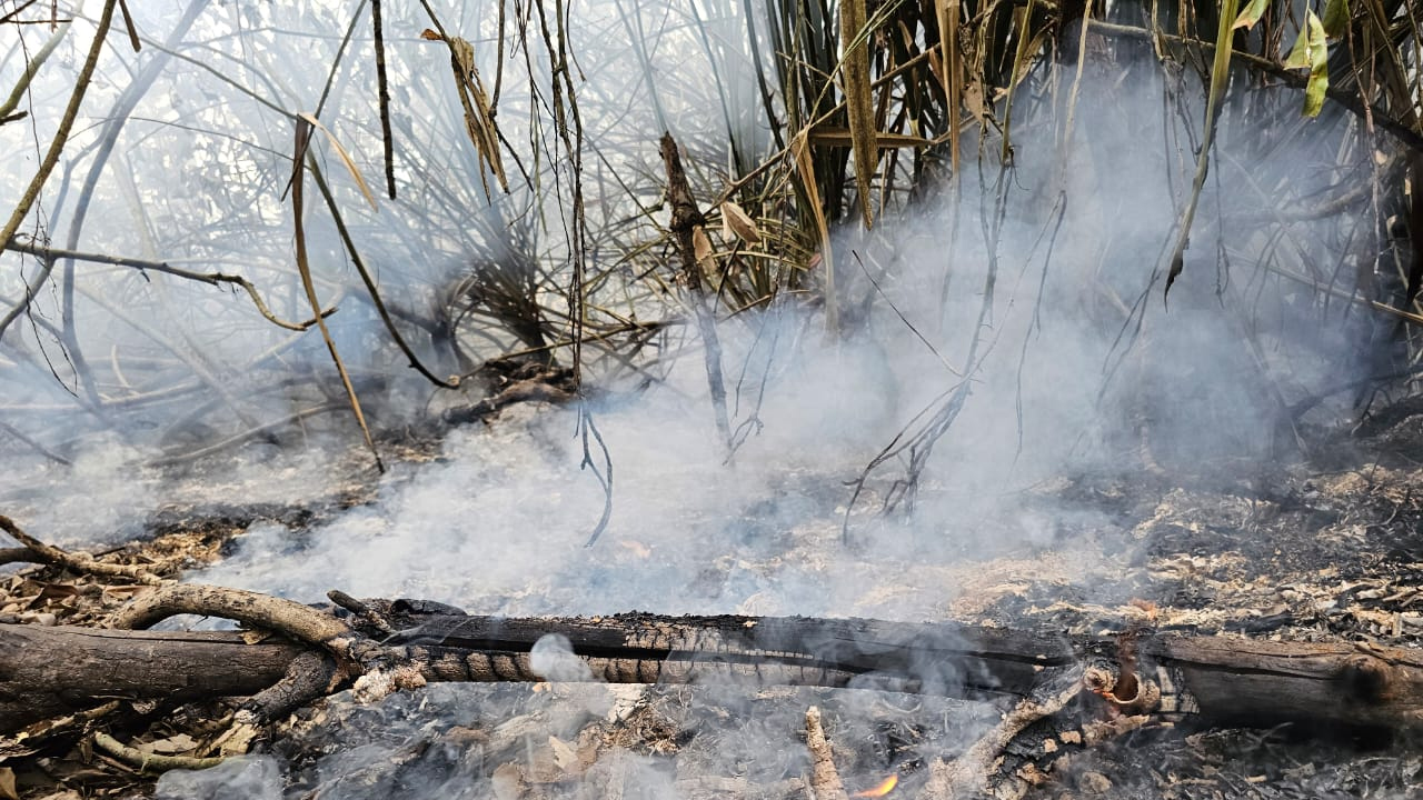 আগুন নেভাতে জোয়ারের অপেক্ষা