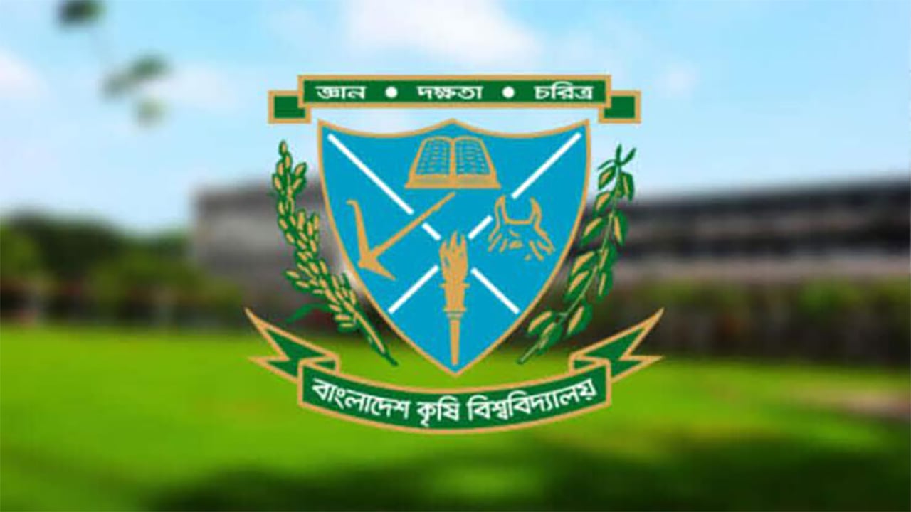 ছাত্রলীগ পুনর্বাসনের চেষ্টা ছাত্রদলের রুখে দিলেন শিক্ষার্থীরা