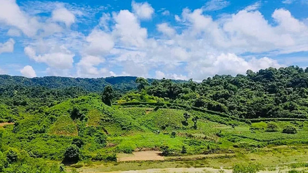 ঘরে ঢুকেই দেখেন স্ত্রীর গলাকাটা লাশ