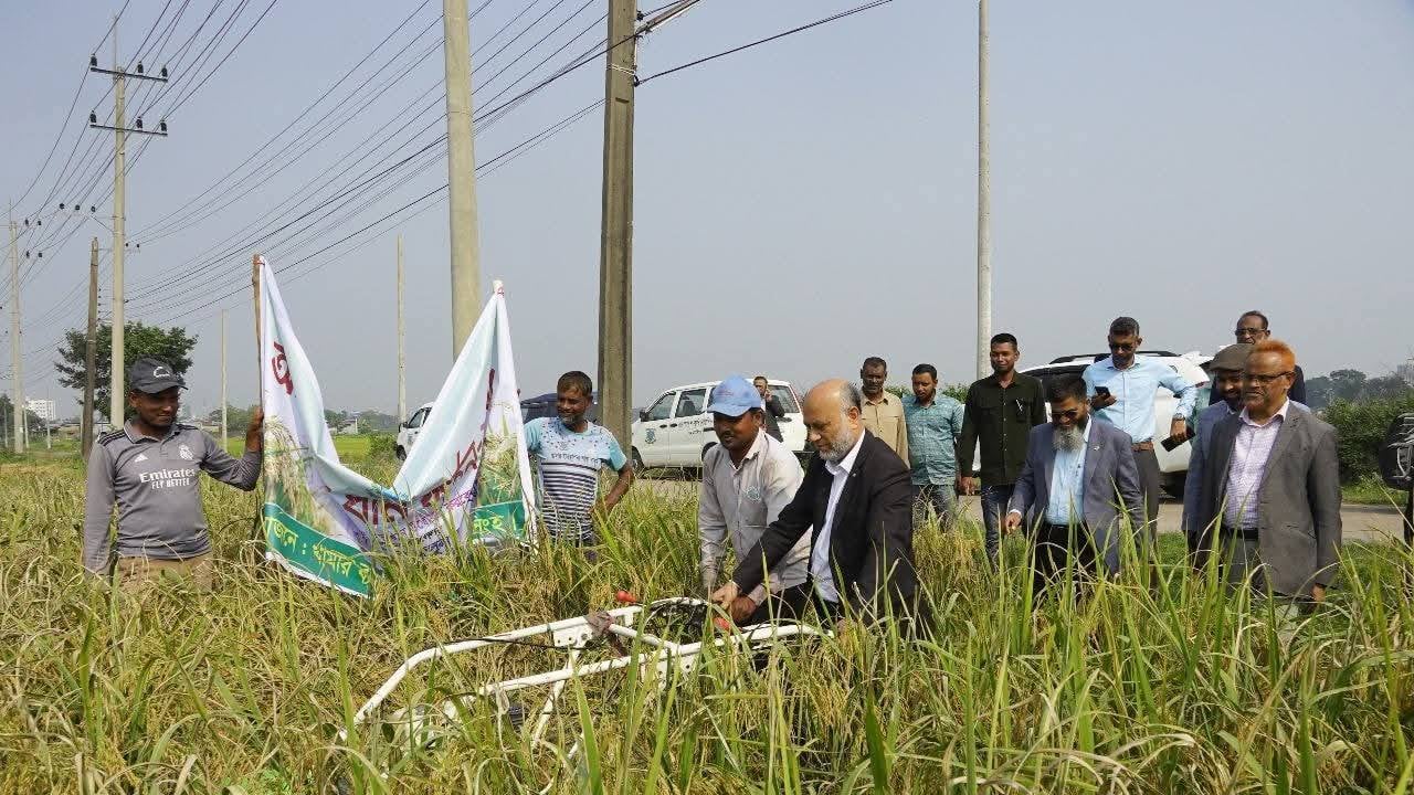 নিজ হাতে ধান কাটলেন বাকৃবি উপাচার্য
