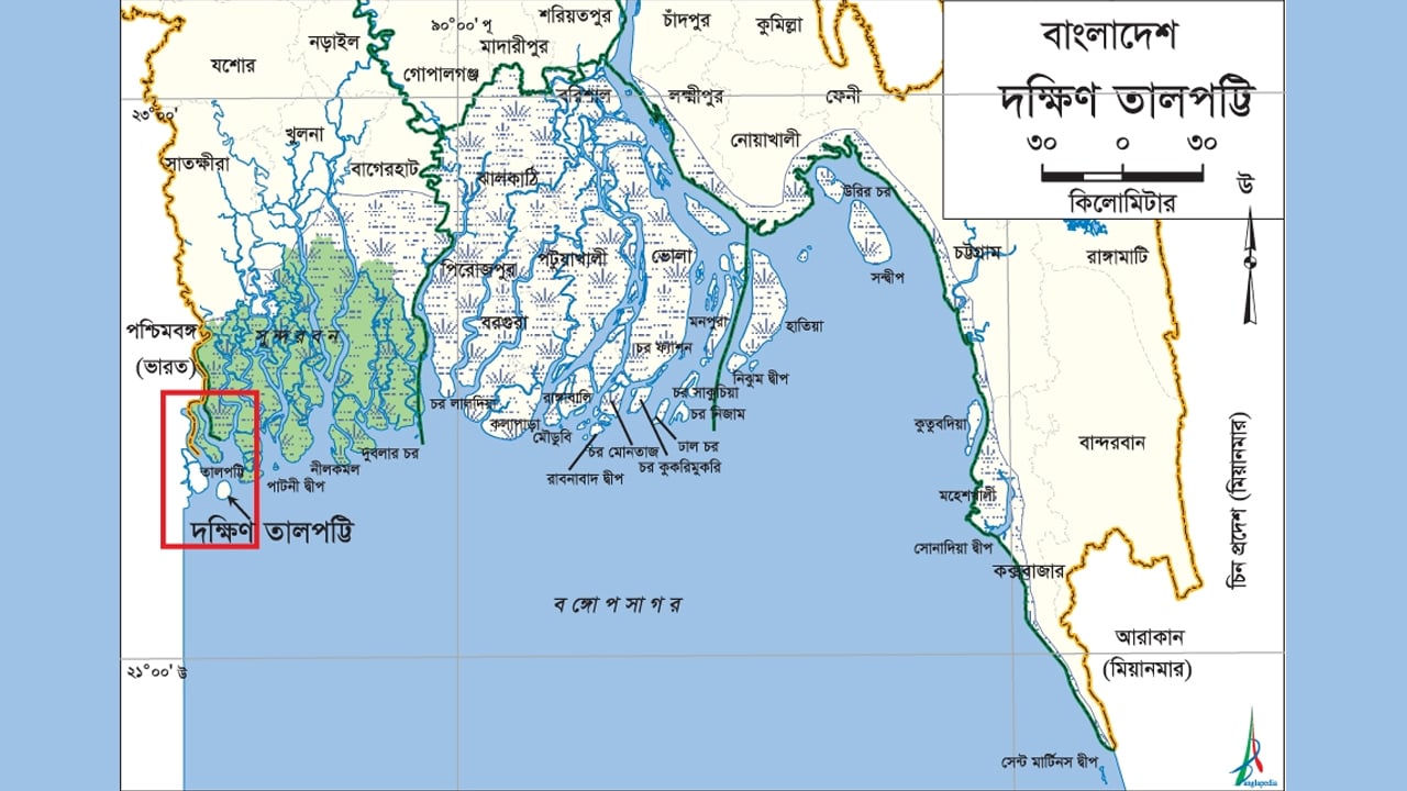 জিয়া, তালপট্টি এবং অমীমাংসিত ইতিহাস