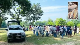 বিএনপি নেতার হঠাৎ মনে হলো, সরকারি পুকুরের মাছগুলো তার