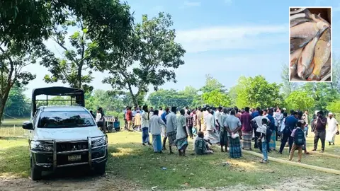 বিএনপি নেতার হঠাৎ মনে হলো, সরকারি পুকুরের মাছগুলো তার