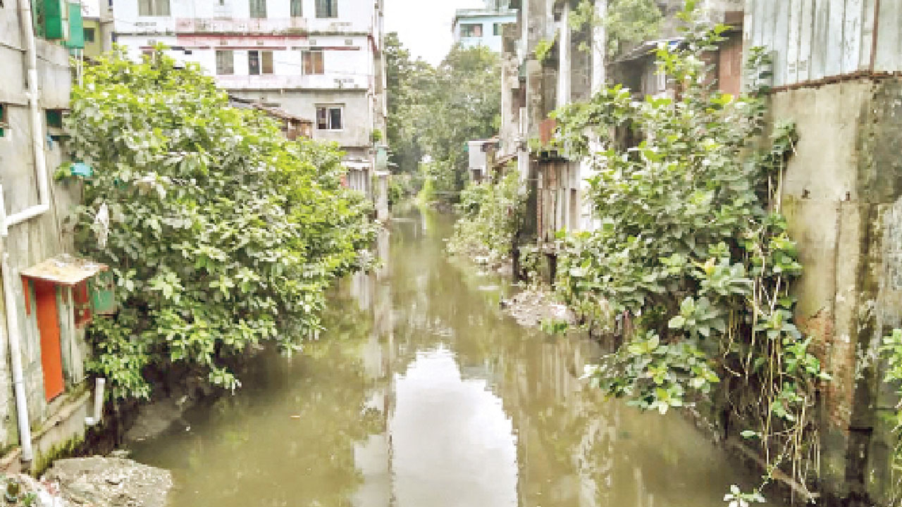 বরিশালের মরা খালে অবশেষে প্রাণ সঞ্চার