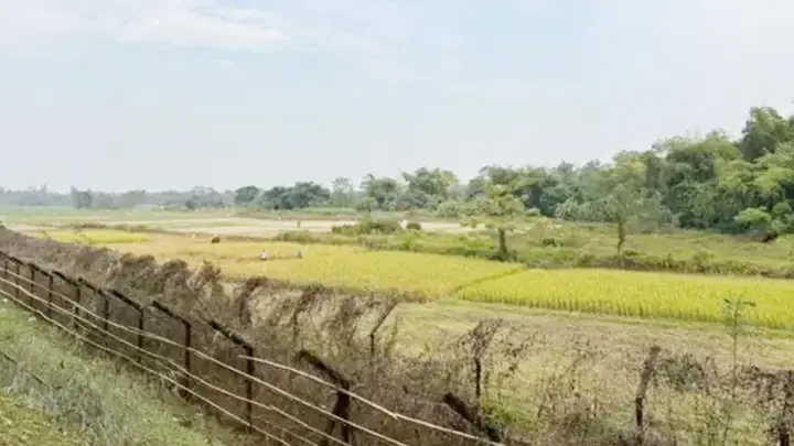 ‘বাংলাদেশি’ ভেবে বিএসএফের পদক্ষেপ, আহত হয়ে রংপুরে চিকিৎসাধীন দুই ভারতীয়