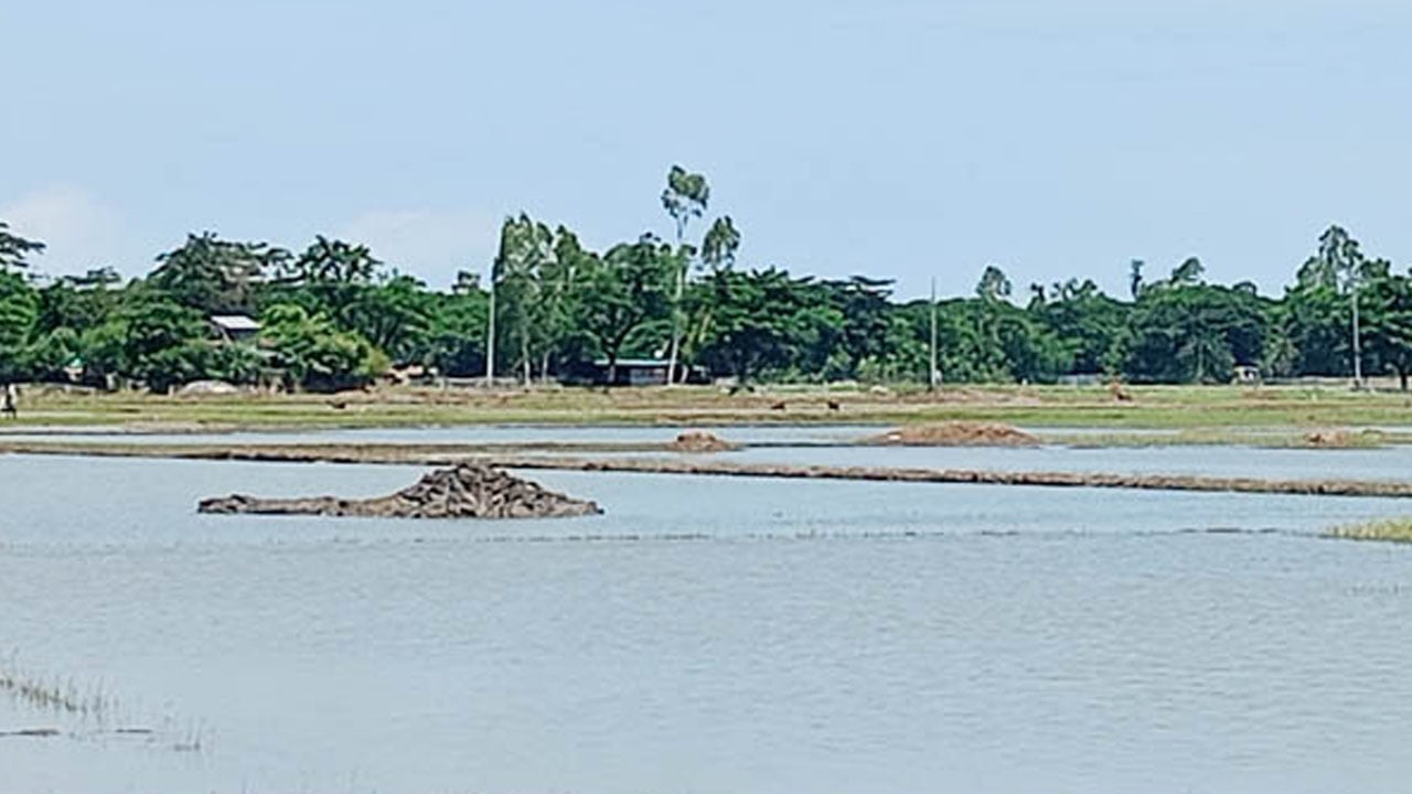 কুতুবদিয়ায় পানির নিচে ১২ লাখ মণ লবণ, বাড়ছে চাষিদের লোকসানের শঙ্কা