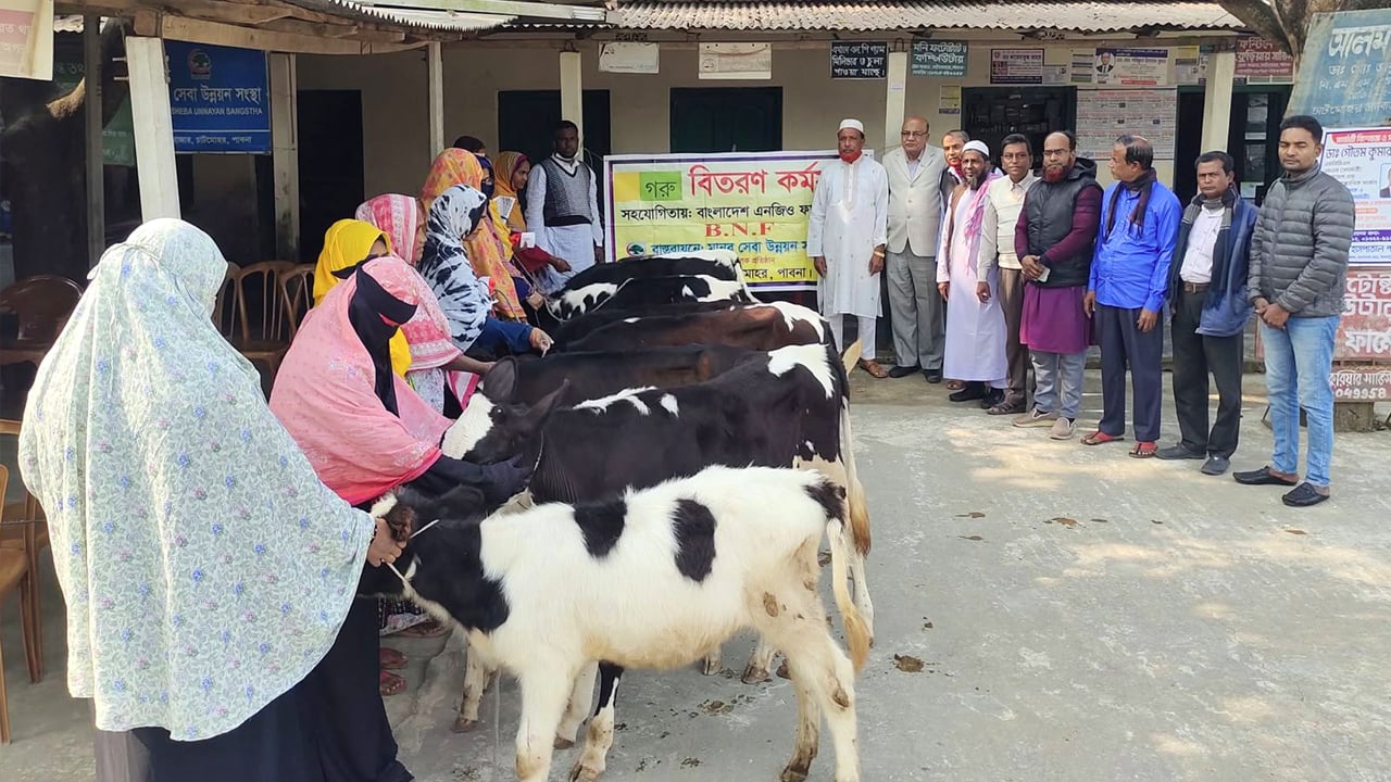 বাছুর হাতে ধরিয়ে ছবি তুলে অর্থ আত্মসাতের অপচেষ্টা