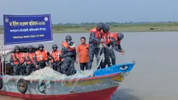 চাঁদপুরে মা ইলিশ রক্ষায় নৌবাহিনীর অভিযানে ৭ কোটি টাকার জাল জব্দ