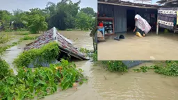 বিহারের বন্যা সামলাতে ফারাক্কা ব্যারেজের সব গেট খোলা, প্লাবিত চাঁপাইনবাবগঞ্জ