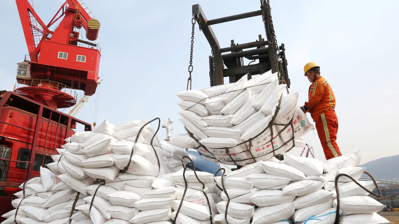 যুদ্ধের প্রেক্ষাপটে সার রপ্তানি সীমিত করলো চীন, বাড়ছে বৈশ্বিক সংকট