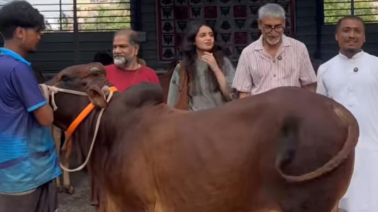 চট্টগ্রামে শরিকানা কুরবানিতে পেশাজীবীদের ভরসা এখন অনলাইন