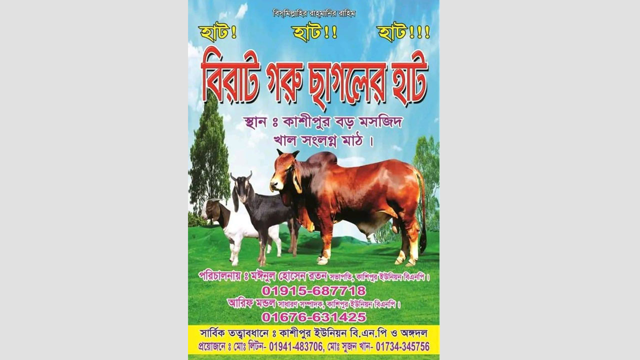 Cow-2