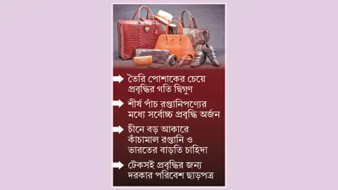 চামড়াজাত শিল্প ঘুরে দাঁড়াচ্ছে
