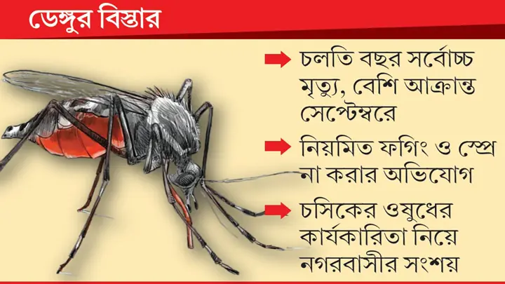 বেড খালি নেই চট্টগ্রামের হাসপাতালে, ক্রাশ প্রোগ্রামেও মরছে না মশা