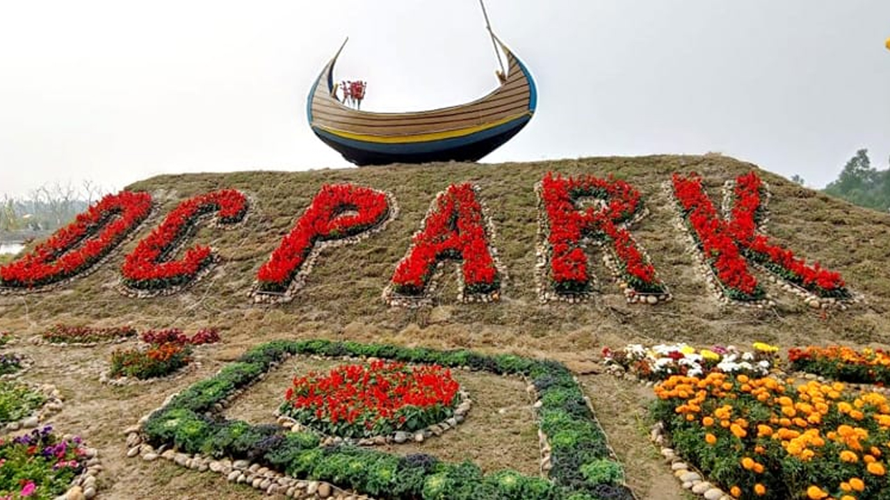 উল্লাস করে ডিসি পার্কে ভাঙচুর, রক্ষা পায়নি ফুলও