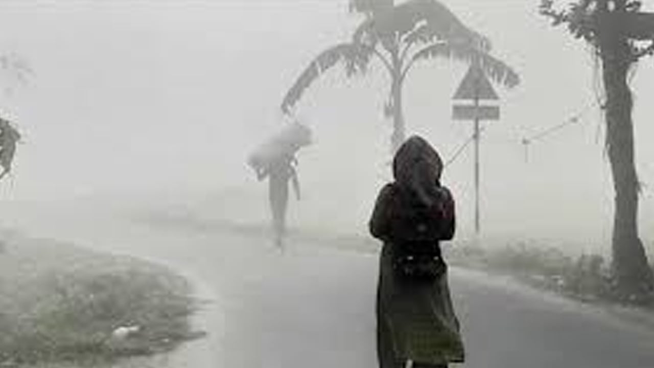 শীতে কাঁপছে উত্তরাঞ্চল, দিনাজপুরে তাপমাত্রা নামল ১১ ডিগ্রিতে