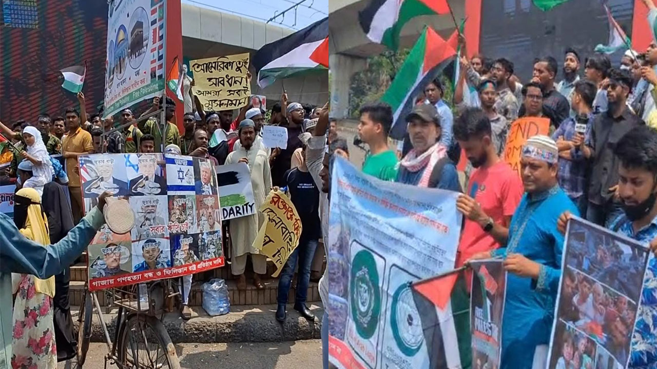 ফিলিস্তিনে গণহত্যার প্রতিবাদে রাজুতে ঢাবি শিক্ষার্থীদের বিক্ষোভ