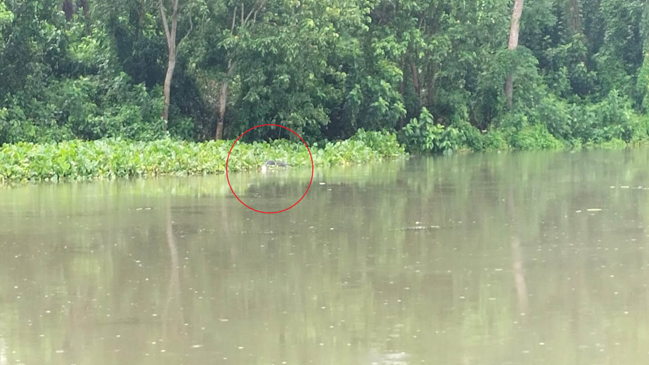 মহেশপুর সীমান্তে অজ্ঞাত লাশ উদ্ধার