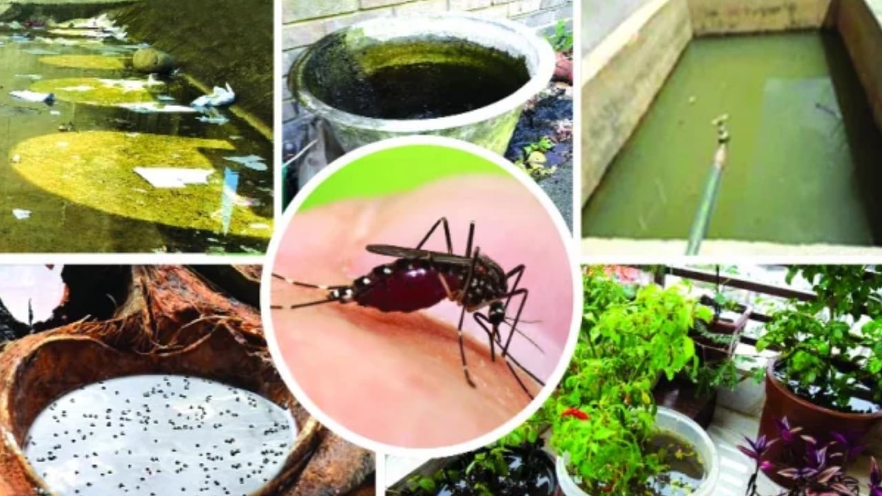 ​ডেঙ্গু প্রতিরোধে রাজধানীতে বিশেষ অভিযান, ভবন মালিককে জরিমানা