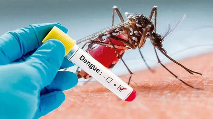 ডেঙ্গুতে আরো ছয় জনের মৃত্যু, আক্রান্ত ২০৮৯