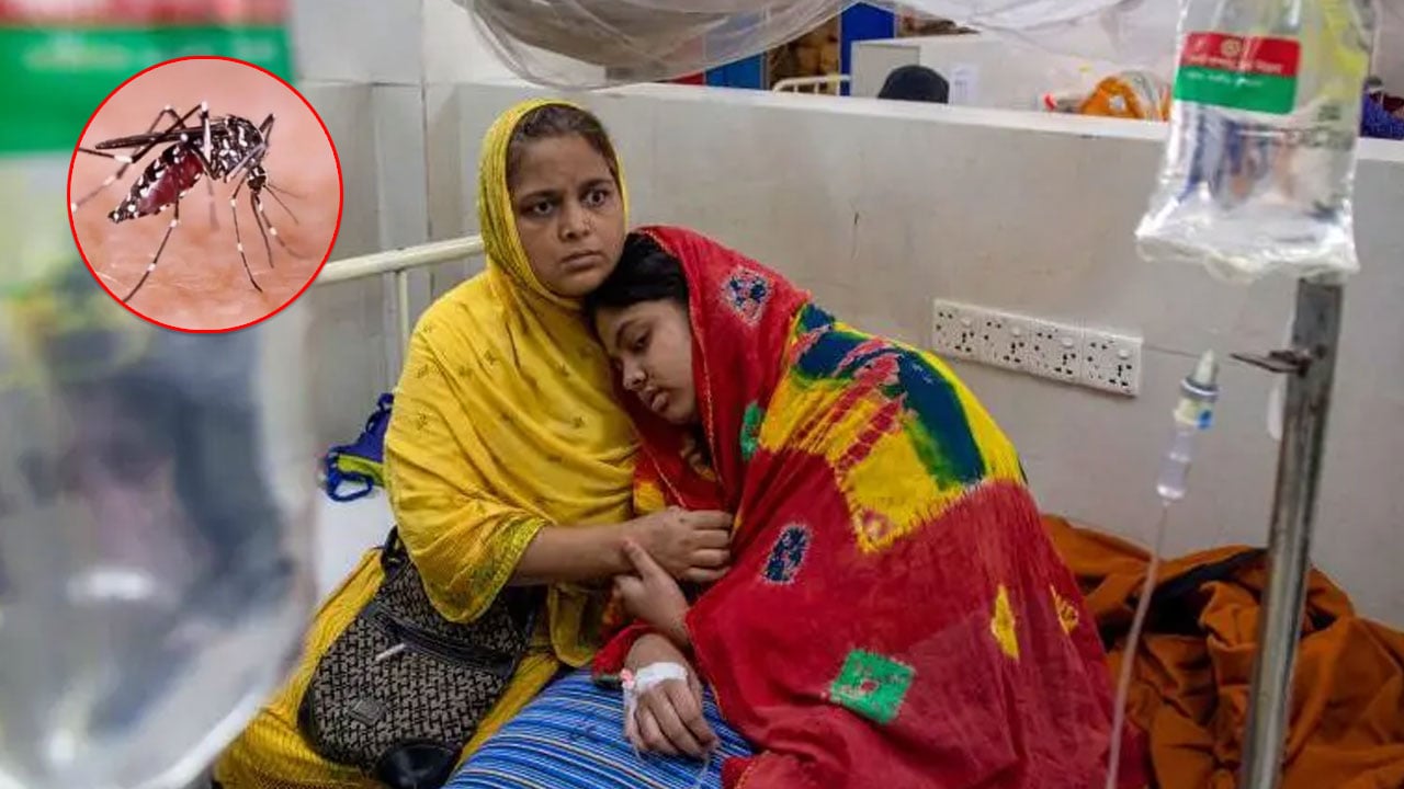 কীভাবে বুঝবেন ডেঙ্গু নাকি চিকুনগুনিয়া হয়েছে?