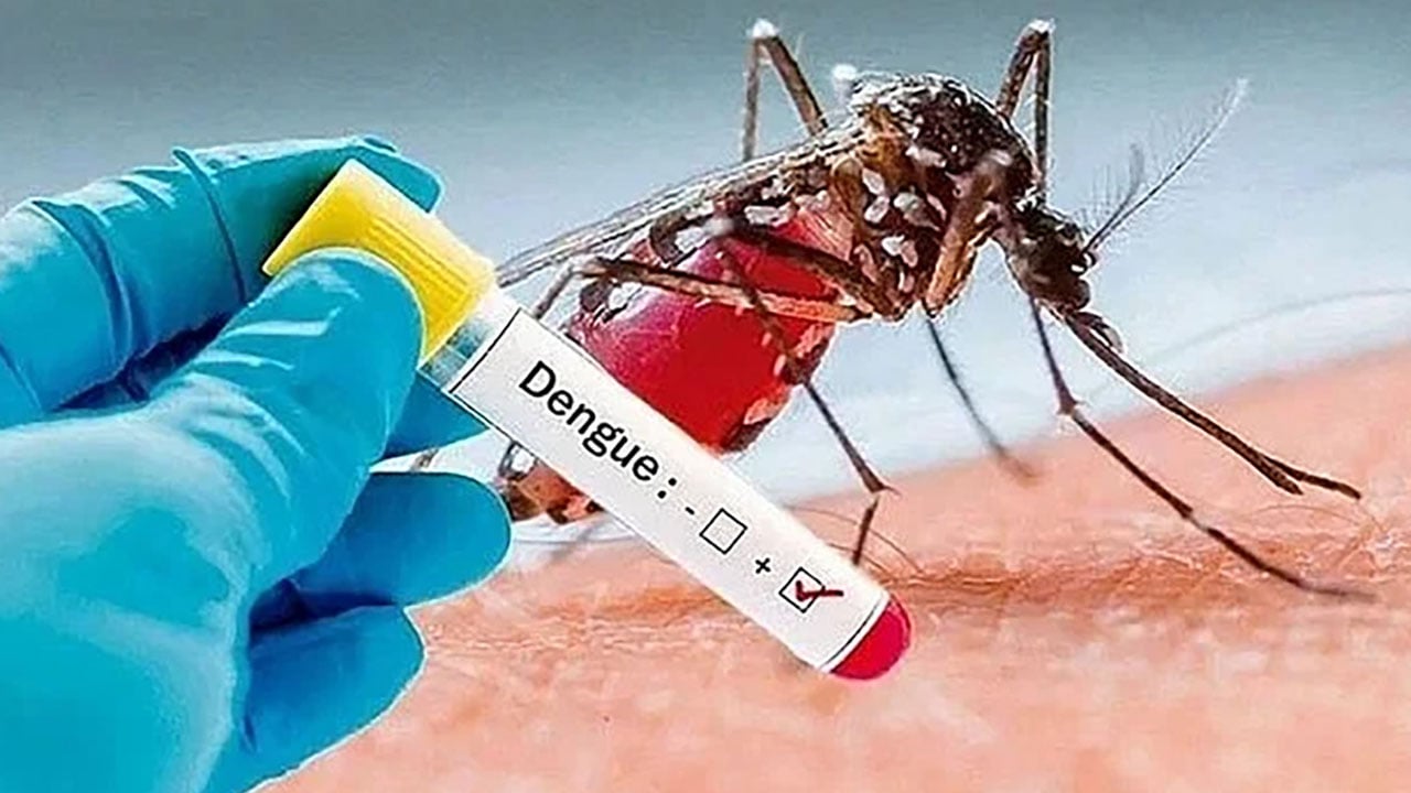 ডেঙ্গুতে আরো দুইজনের মৃত্যু, আক্রান্ত ১৯০