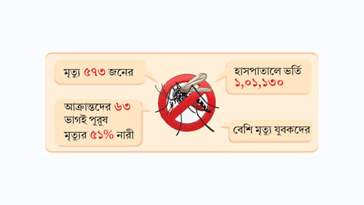 ডেঙ্গুর ভয়াবহতার বছরে ৬শ মৃত্যু