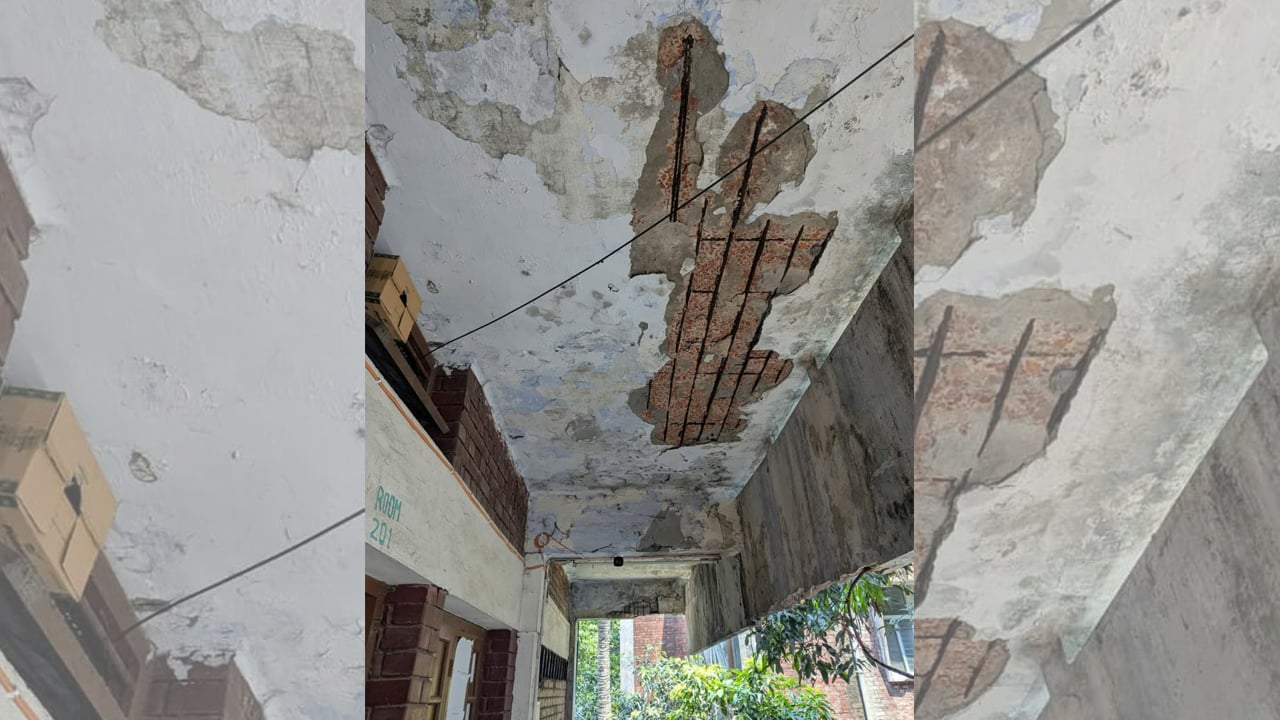 ভূমিকম্পে হুড়োহুড়িতে ঢাকা কলেজের ৩ শিক্ষার্থী আহত