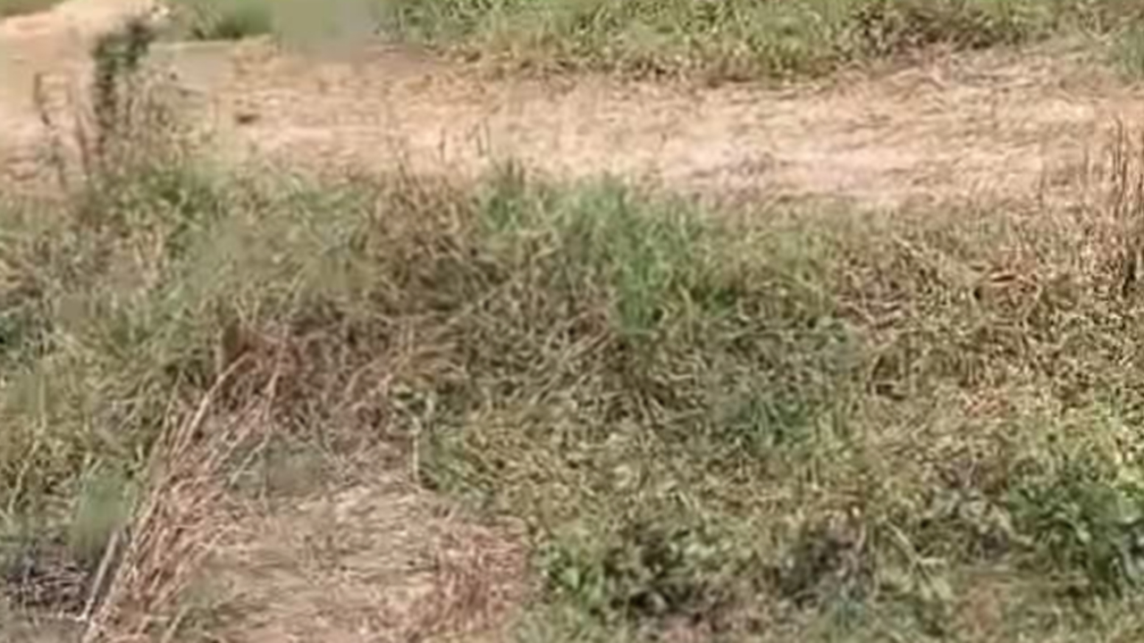 মাঠে পড়েছিল হাত-পা বাঁধা লাশ