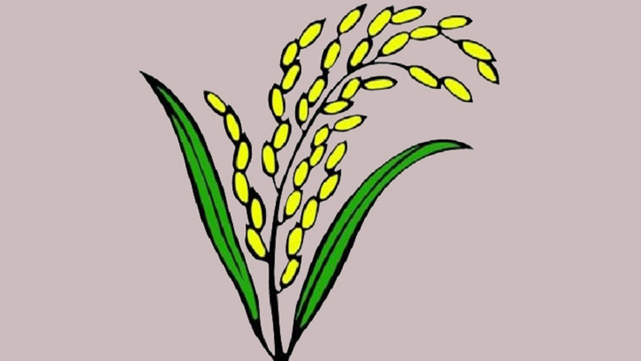 ঢাকা-১০ আসনে এগিয়ে ধানের শীষ