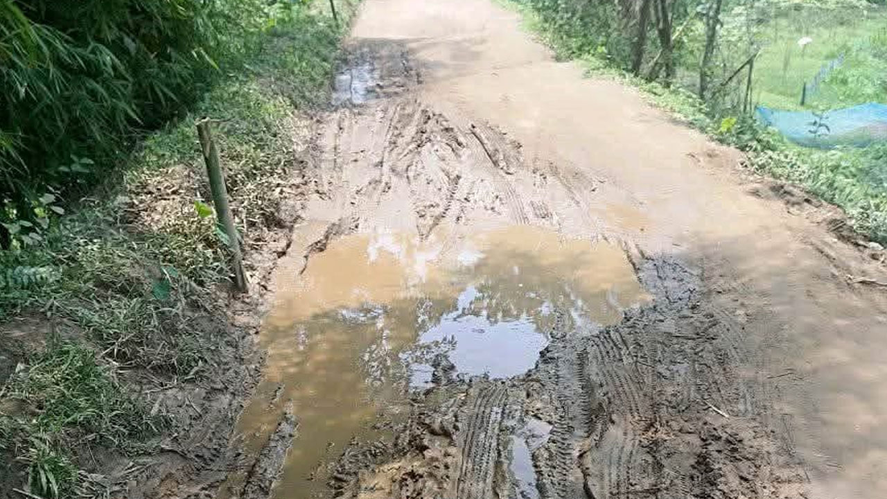 চার কিলোমিটার ভাঙা সড়কে চরম দুর্ভোগ