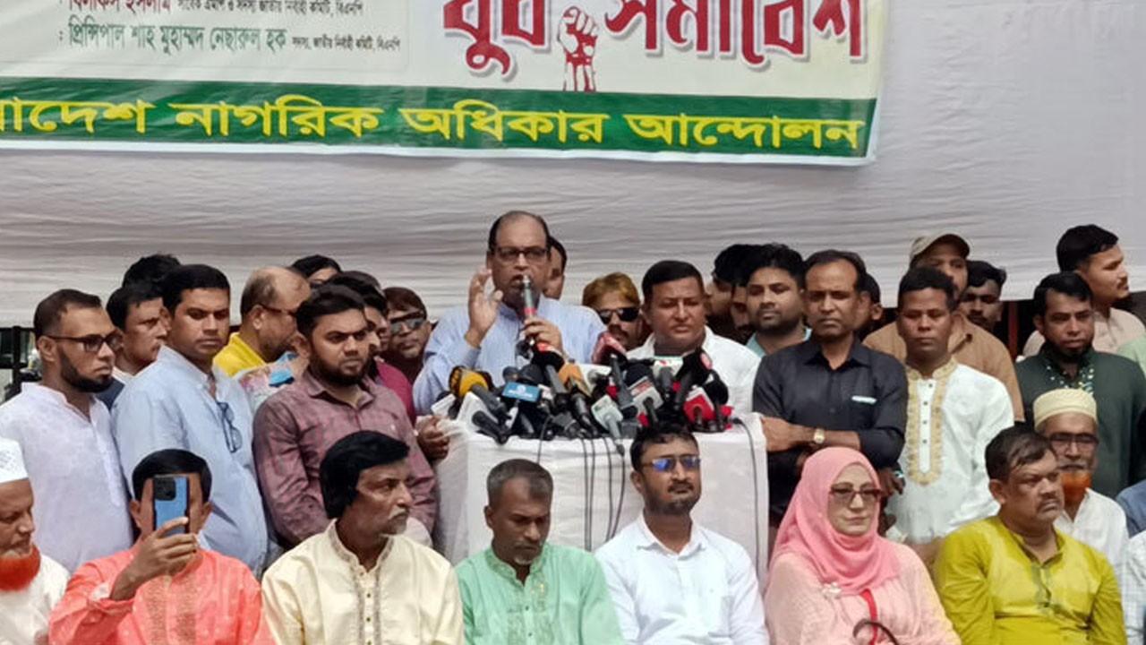 সুষ্ঠু নির্বাচন দিলে আ.লীগের করুণ পরিণতি হতো না: দুদু