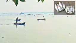মা ইলিশ ধরার মহোৎসব