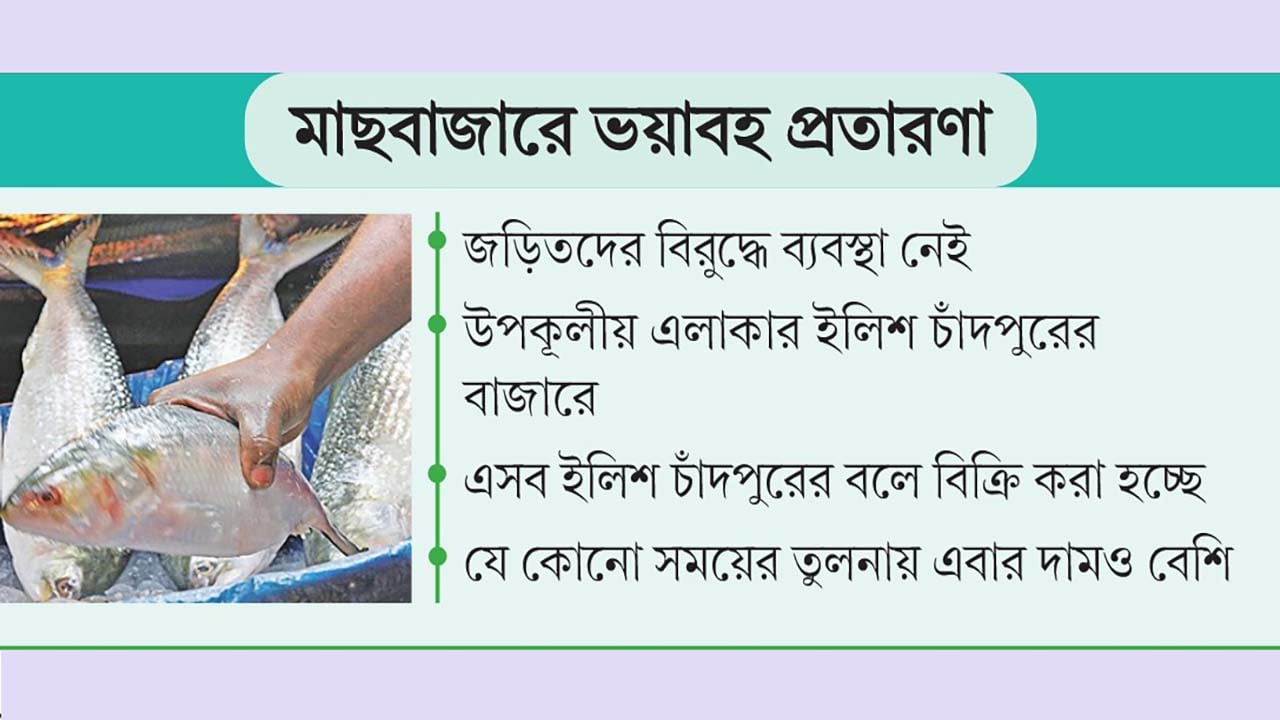 সাগরের মাছ ‘চাঁদপুরের ইলিশ’ বলে বিক্রি
