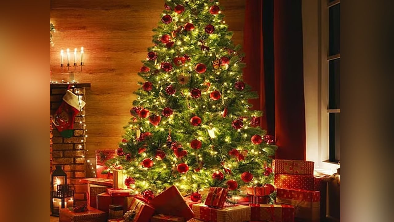 শুভ বড়দিন আজ