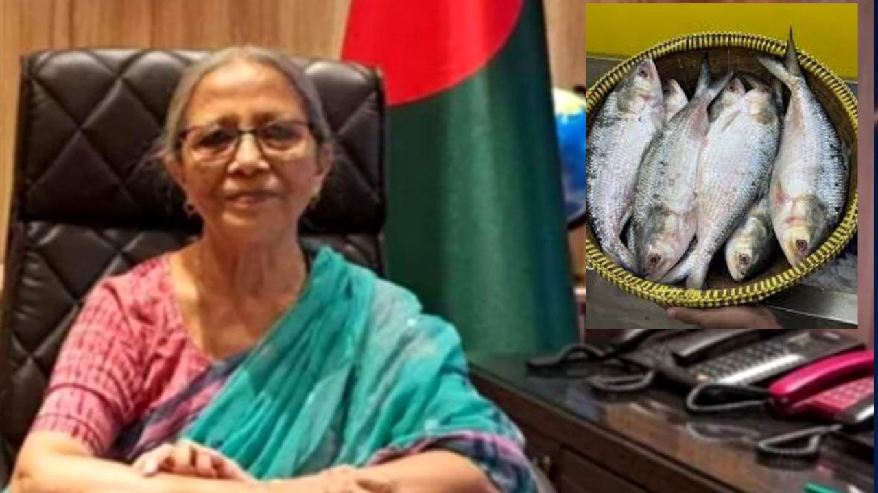 ইলিশ ইস্যুতে দুঃখ প্রকাশ মৎস্য উপদেষ্টার